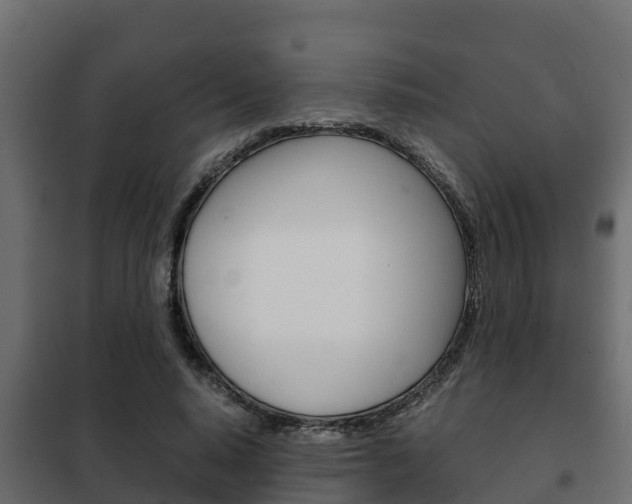 X0000102470640200808081010