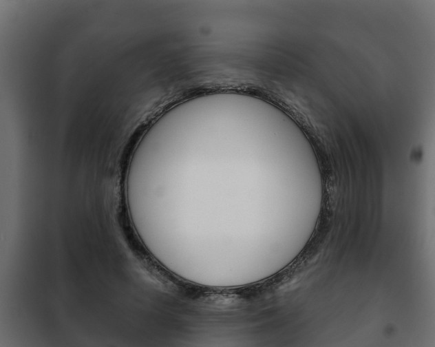 X0000102470642200808081010
