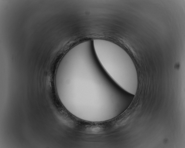 X0000102470643200808081010