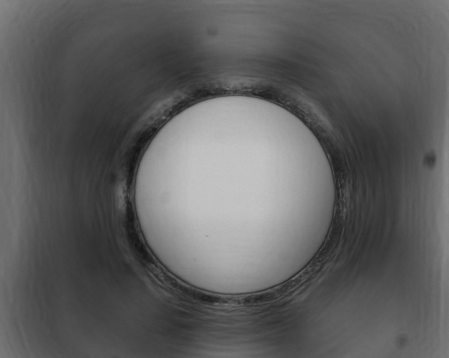 X0000102470644200808081010