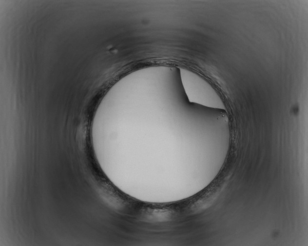 X0000102470645200808081010
