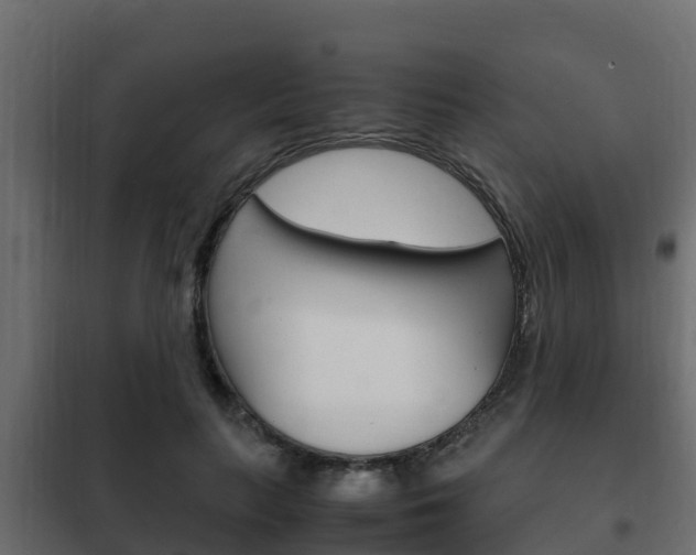 X0000102470647200808081010