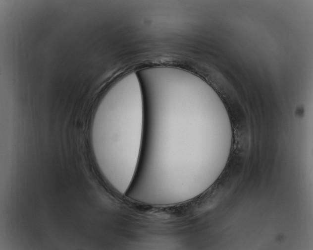 X0000102470648200808081010