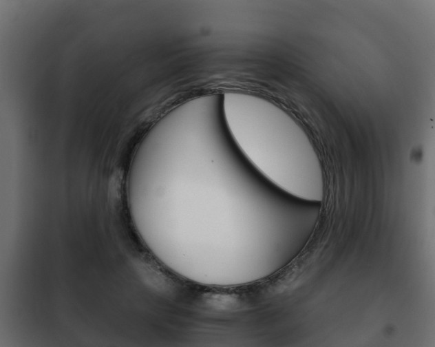 X0000102470649200808081010