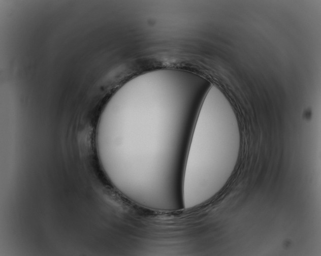 X0000102470650200808081010