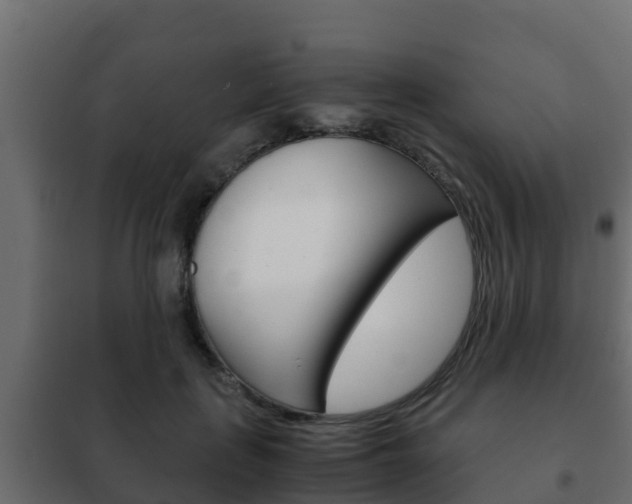 X0000102470651200808081010