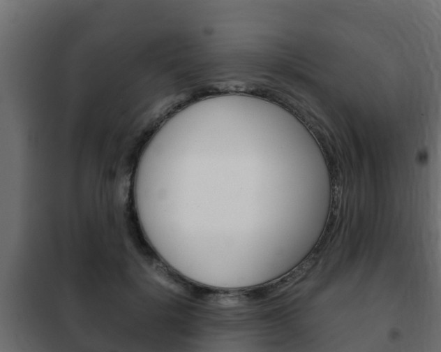 X0000102470652200808081010