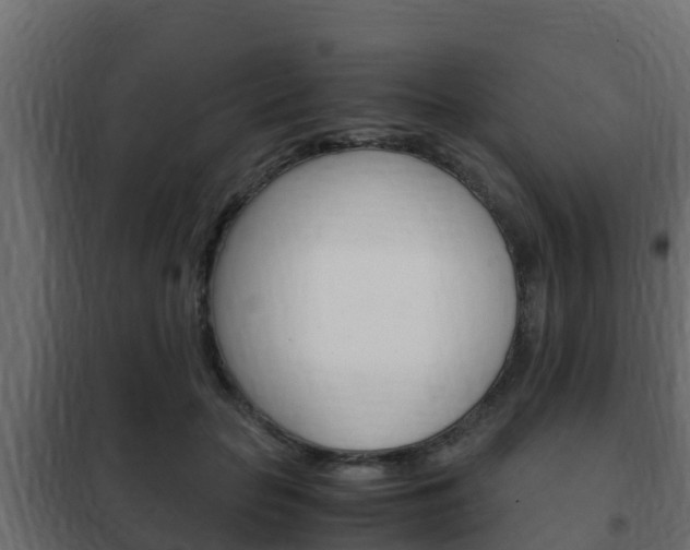 X0000102470653200808081010
