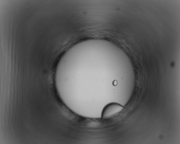 X0000102470658200808081011