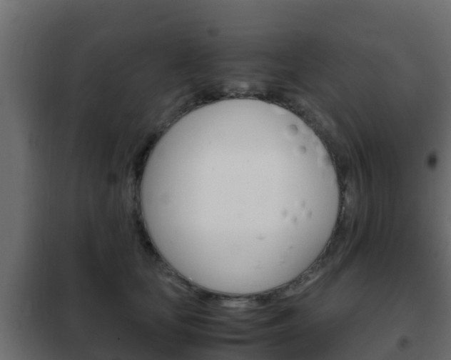 X0000102470659200808081011