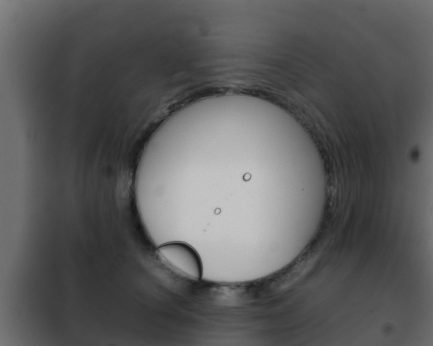X0000102470660200808081011