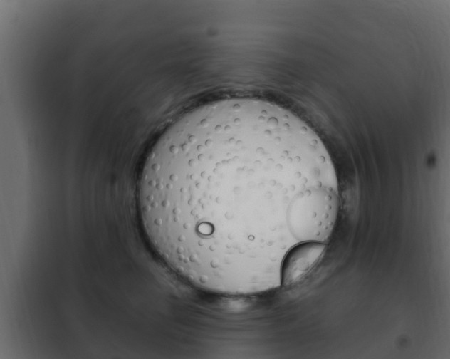 X0000102470662200808081011