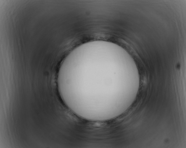 X0000102470663200808081011