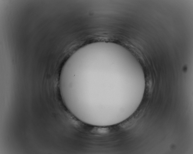 X0000102470665200808081011