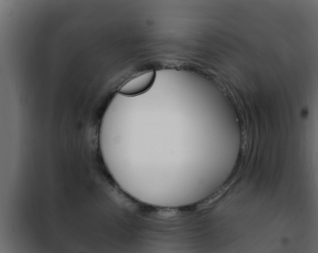 X0000102470666200808081011