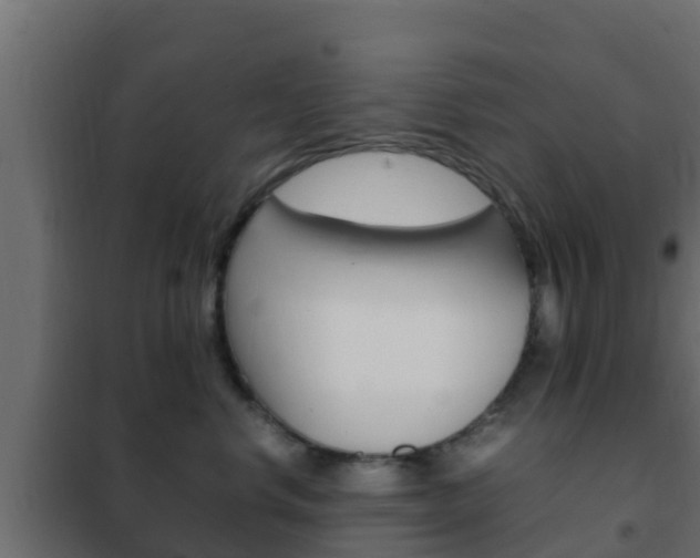 X0000102470668200808081011