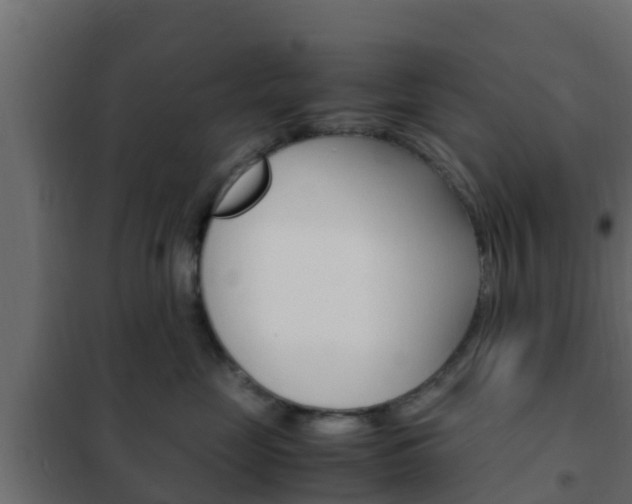 X0000102470669200808081011