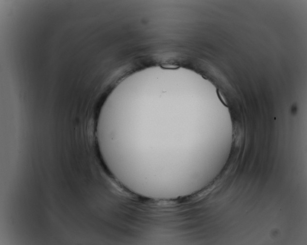 X0000102470670200808081011