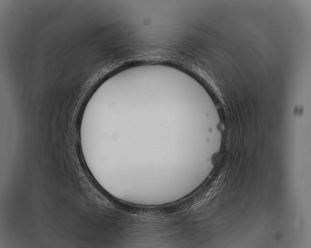 X0000102470673200808081010