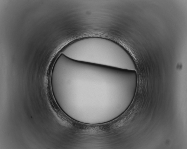 X0000102470674200808081010