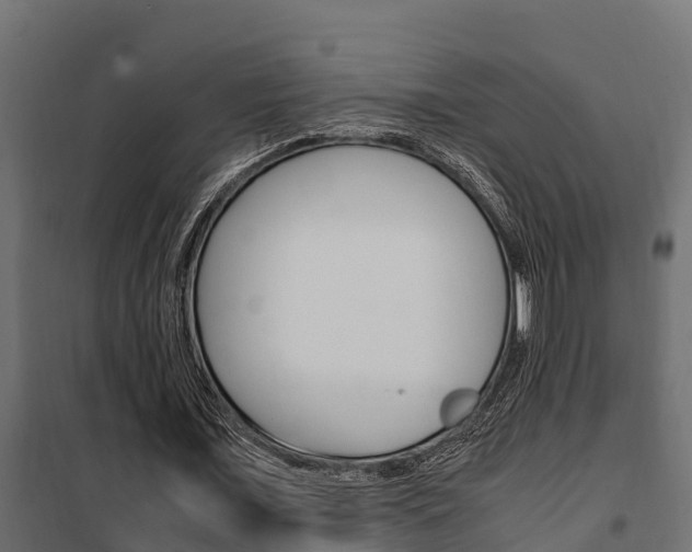 X0000102470675200808081010