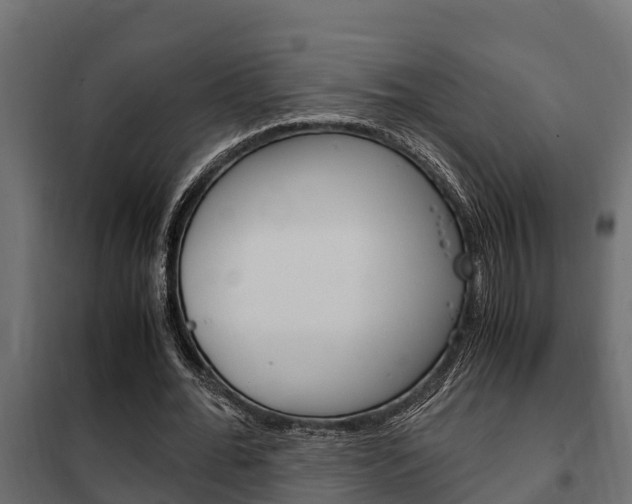 X0000102470676200808081010