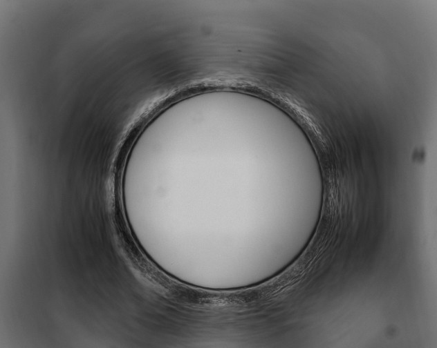 X0000102470678200808081010