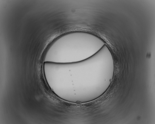 X0000102470679200808081010