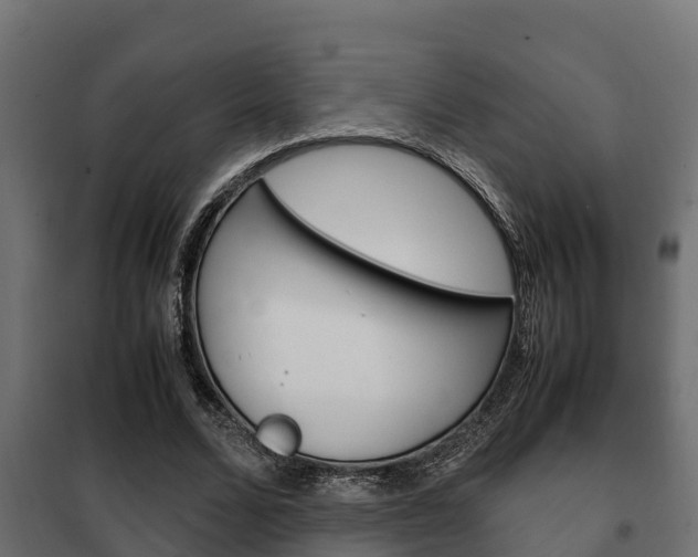 X0000102470680200808081010