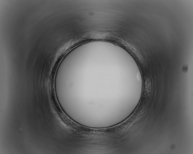 X0000102470682200808081010