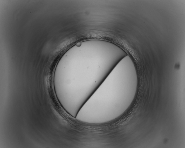 X0000102470683200808081010