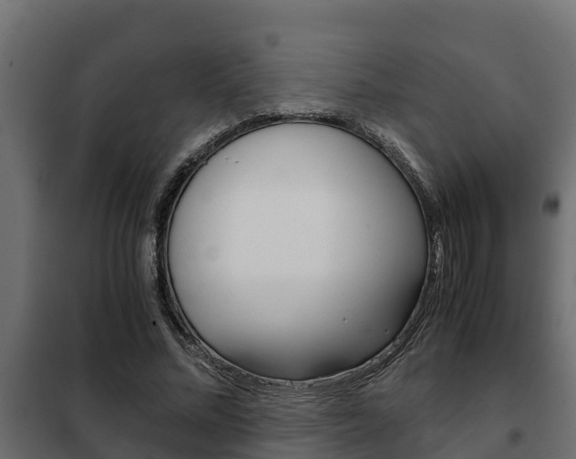 X0000102470684200808081010