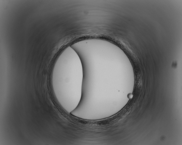 X0000102470685200808081010