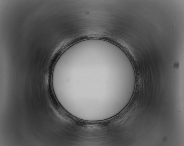 X0000102470686200808081010