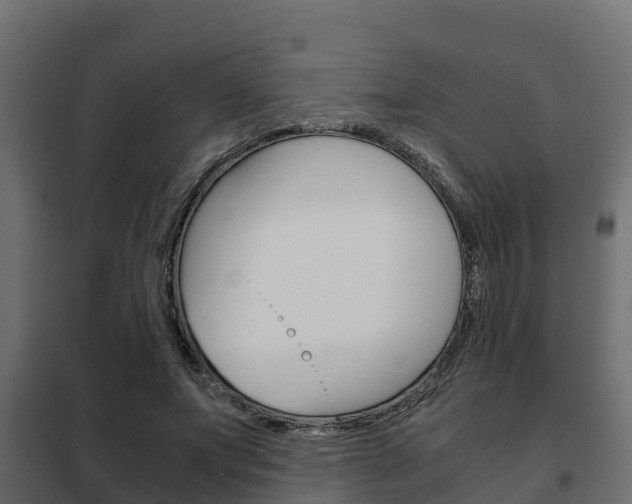 X0000102470687200808081010
