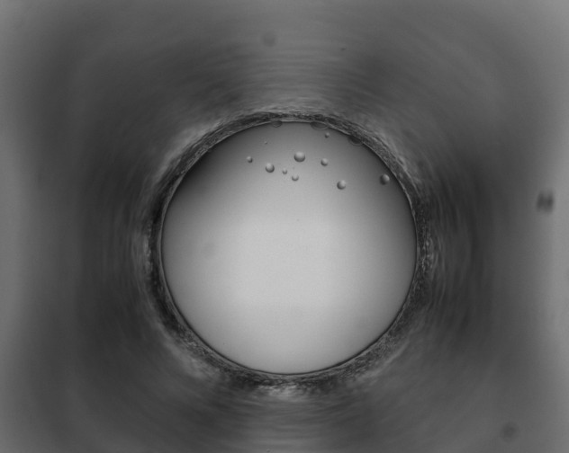 X0000102470688200808081010