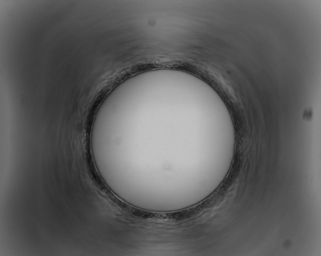 X0000102470689200808081010