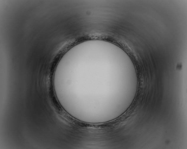 X0000102470690200808081010