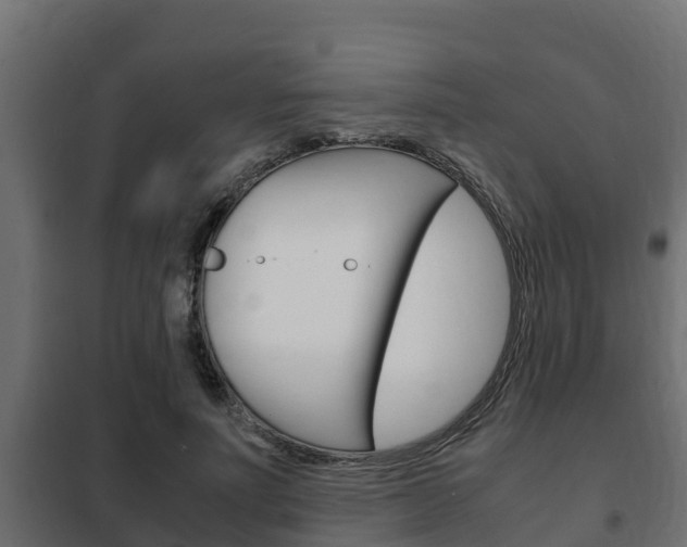 X0000102470691200808081010
