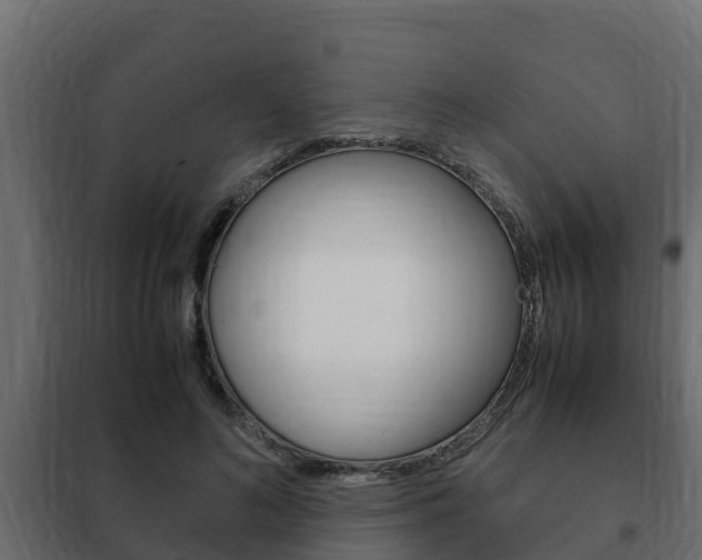 X0000102470692200808081010