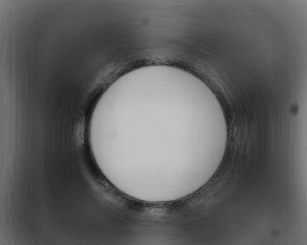 X0000102470694200808081010