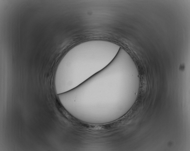 X0000102470695200808081010