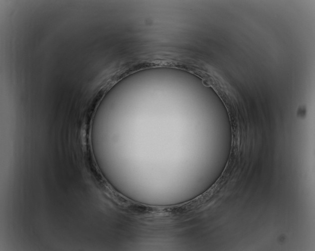 X0000102470696200808081010