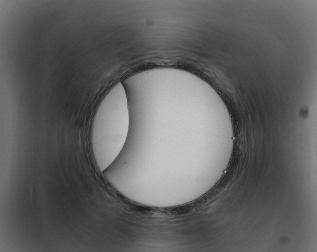 X0000102470697200808081010