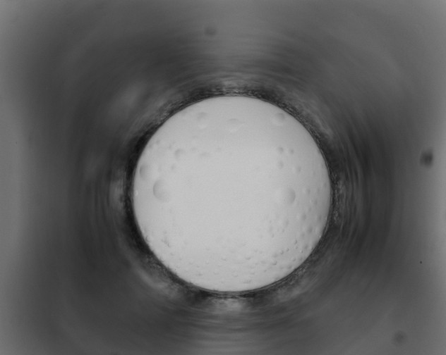 X0000102470698200808081010