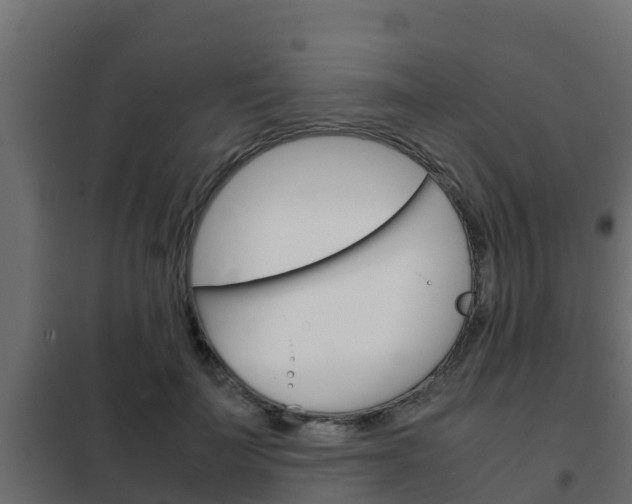 X0000102470699200808081010