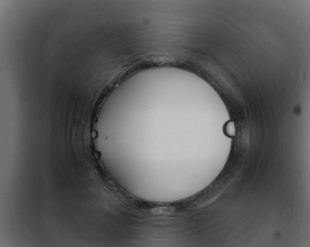X0000102470700200808081010