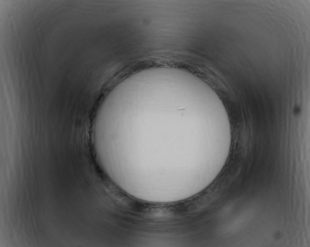 X0000102470702200808081010