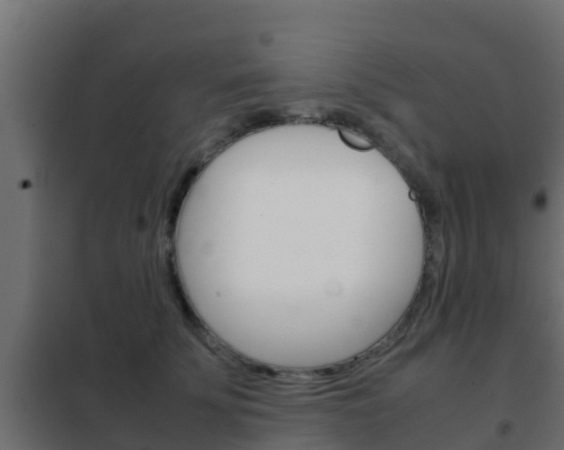 X0000102470707200808081010