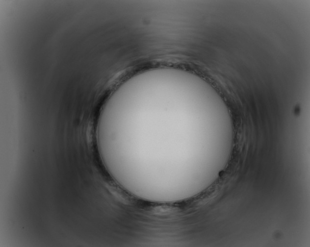 X0000102470708200808081010